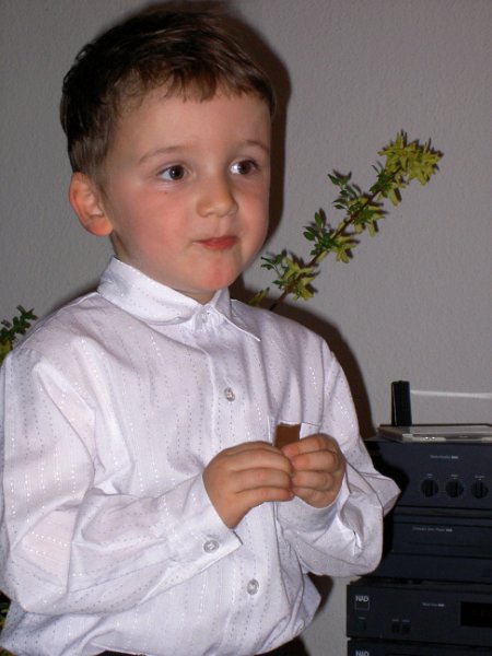 PICT1844yn+light+no defs.jpg